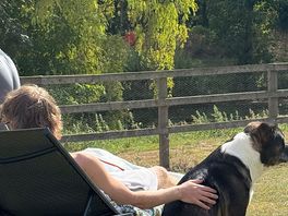 Sunny peace