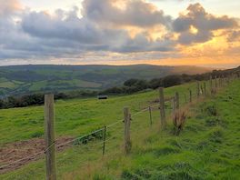 View over the farm