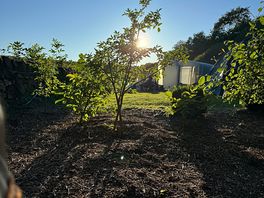 Lovely place to sit as the sun goes down