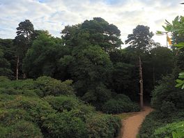 View from sherringham park
