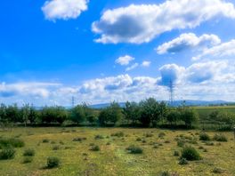 Gorgeous open space