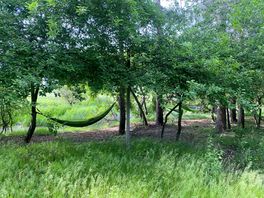 Hammocks next to the river