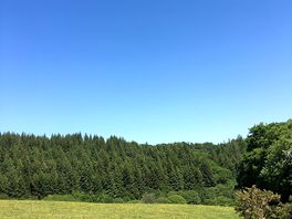 View from the field