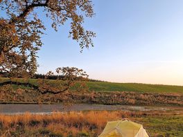 Pitched by the pond and great oak tree.