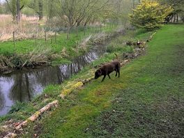 River walk