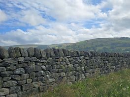 View from dog walking area