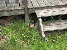 Decking again.