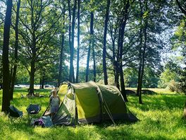Camping in the woods