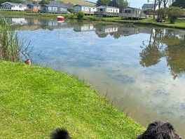 Another view of the lake