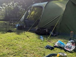 Lovely pitch