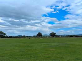 Beeston castle
