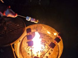 Fire pit