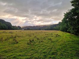 Next door field to park
