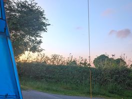 View from the tent in the evening