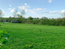 Pitch Field