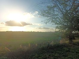 Field view