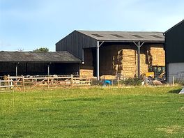 Lovely campsite on a farm
