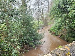 Stream