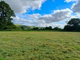View from the site.