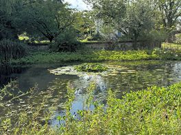 Kissing gate walk
