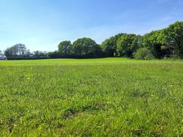 The field is sheltered by trees
