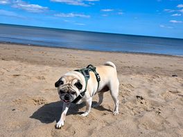 Mappleton beach