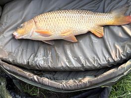 Common
