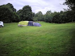 How is this for a pitch