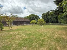The site