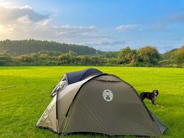Dog-friendly camping