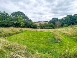 Grass pitch surrounded by trees