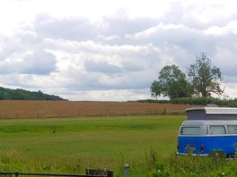View from the edge of the site