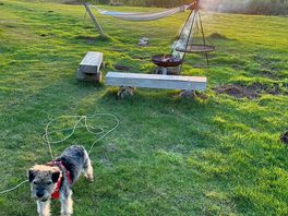 Hammock, fire, sunset, dog… perfect 👌🏼
