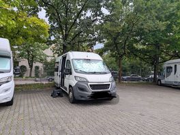 Unter bäumen
