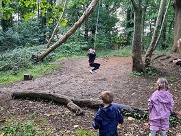 Little woodlands