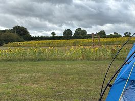 View from the site
