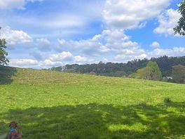 Picnic views