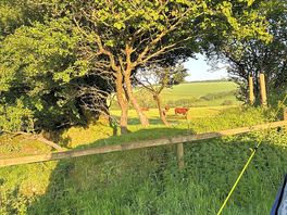 Westland farm