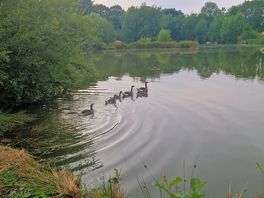 Lake