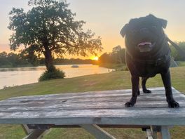 Beautiful scenery and dog friendly