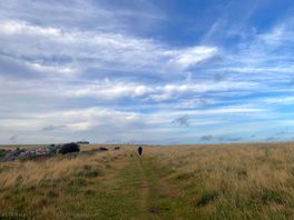 Walk on the downs, 1 minute walk out of campsite