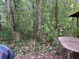 The glade