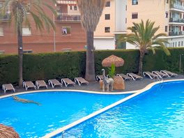 Zona de piscina