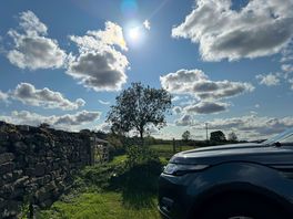 Sunny skies.