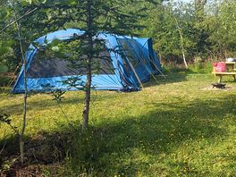 Our pitch, the bluebell pitch.
