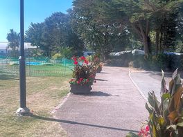 Nice flowers around the site