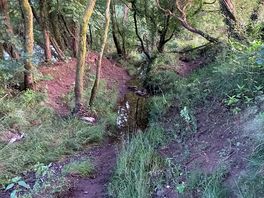 River walk
