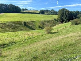 Wonderful nearby walks