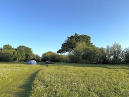 Our pitch