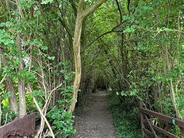 On site nature corridor